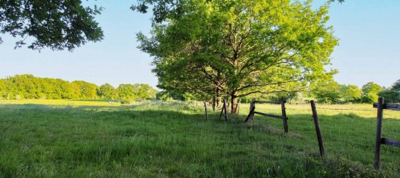 3 bedrooms House in Wandsbek, Germany No. 269961 16