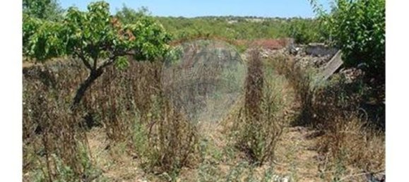 Terreno en Guia, Portugal 126809 m² No. 43044 4