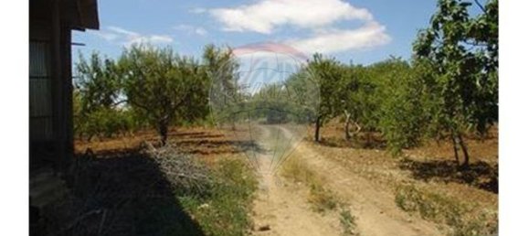 Terreno en Guia, Portugal 126809 m² No. 43044 6