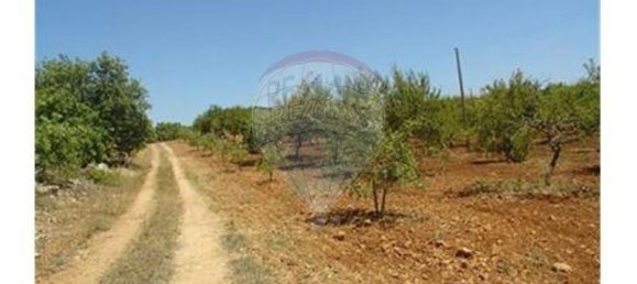 Terreno en Guia, Portugal 126809 m² No. 43044 8