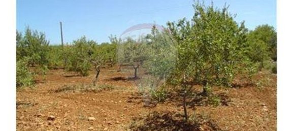 Terreno en Guia, Portugal 126809 m² No. 43044 7