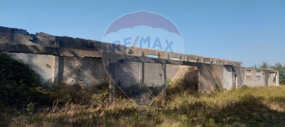 Almacén en Caldas da Rainha, Portugal 2906 m² No. 75626 22