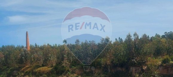 Almacén en Caldas da Rainha, Portugal 2906 m² No. 75626 11