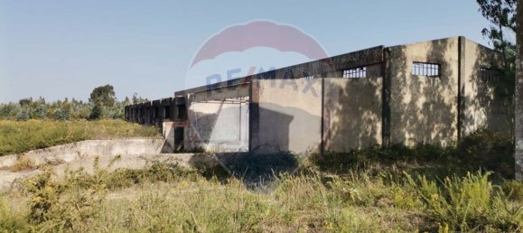 Almacén en Caldas da Rainha, Portugal 2906 m² No. 75626 16