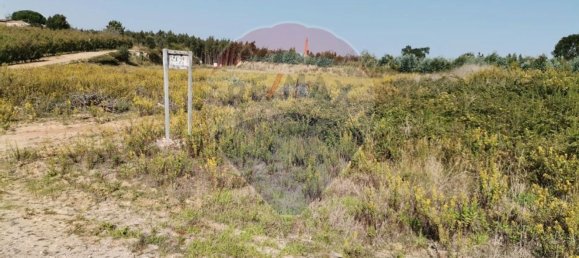 Almacén en Caldas da Rainha, Portugal 2906 m² No. 75626 18