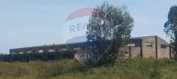 Almacén en Caldas da Rainha, Portugal 2906 m² No. 75626 10