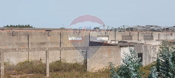 Almacén en Caldas da Rainha, Portugal 2906 m² No. 75626 14