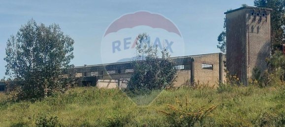 Almacén en Caldas da Rainha, Portugal 2906 m² No. 75626 8