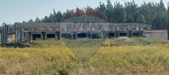 Almacén en Caldas da Rainha, Portugal 2906 m² No. 75626 2