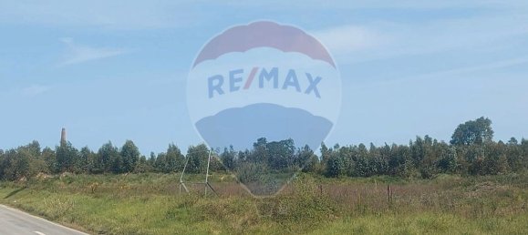 Almacén en Caldas da Rainha, Portugal 2906 m² No. 75626 9