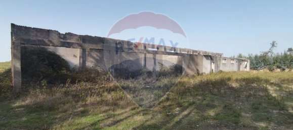 Almacén en Caldas da Rainha, Portugal 2906 m² No. 75626 15