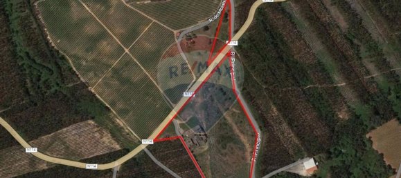 Almacén en Caldas da Rainha, Portugal 2906 m² No. 75626 23