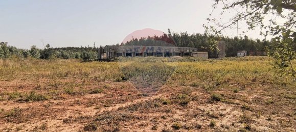 Almacén en Caldas da Rainha, Portugal 2906 m² No. 75626 13