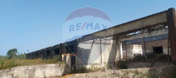 Almacén en Caldas da Rainha, Portugal 2906 m² No. 75626 4