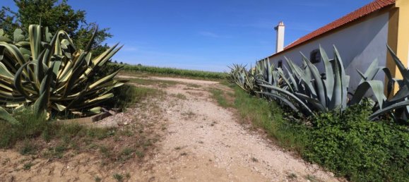 4 bedrooms House in Torres Vedras, Portugal No. 128864 25