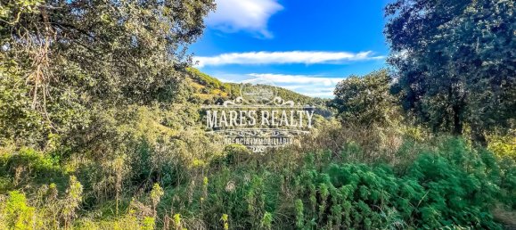 4 غرف نوم فيلا في Santa Susanna, Spain رقم 16806 15