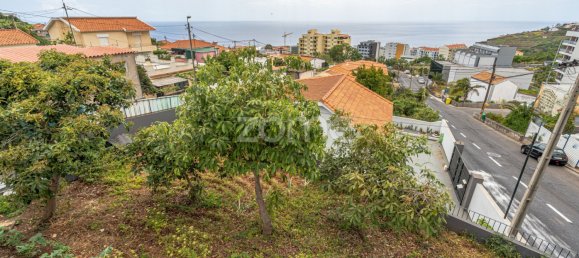 5 bedrooms House in Funchal, Portugal No. 146563 14