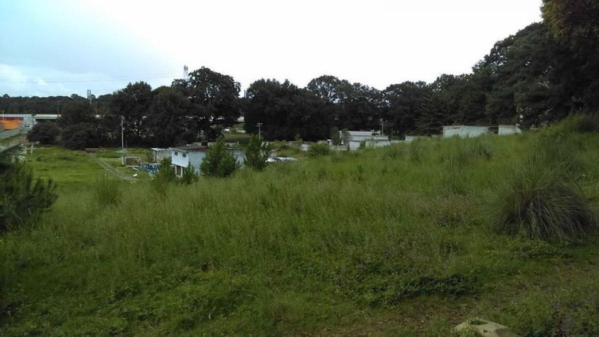  قطعة أرض في Lerma, Mexico رقم 203637