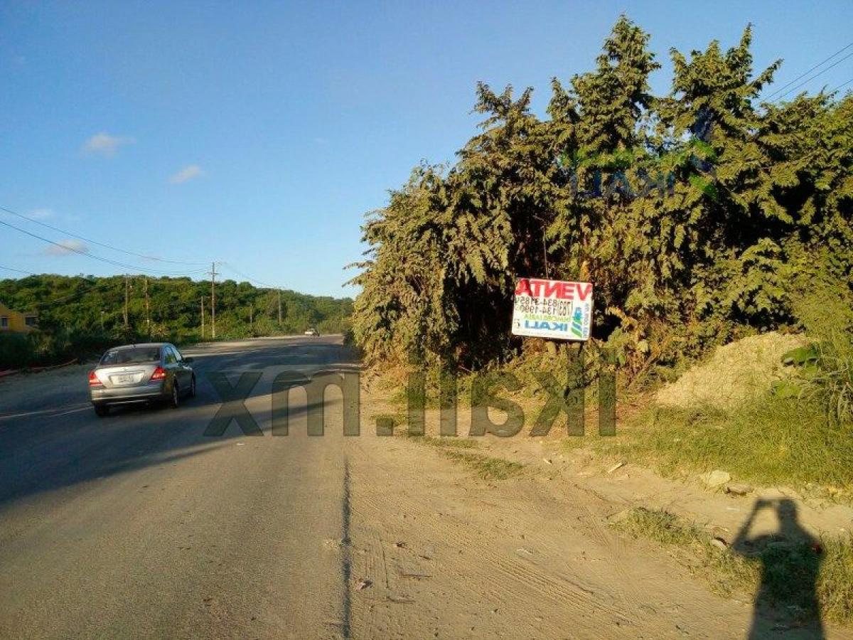  Land in Veracruz, Mexico No. 204857