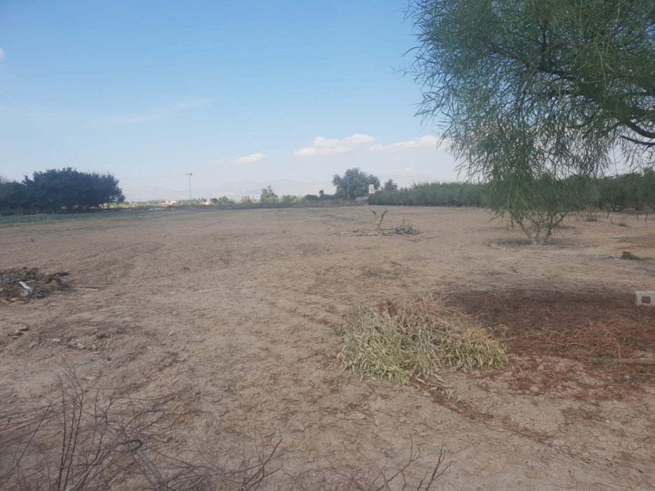  Land in Guardamar del Segura, Spain No. 5599