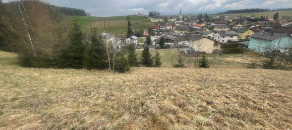 5556m² Land in Molbling, Austria No. 164080 5