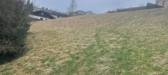 5556m² Land in Molbling, Austria No. 164080 4