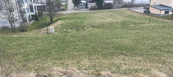 5556m² Land in Molbling, Austria No. 164080 3