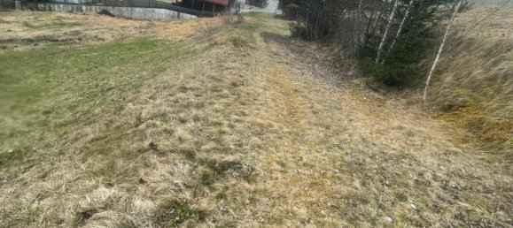 5556m² Land in Molbling, Austria No. 164080 2