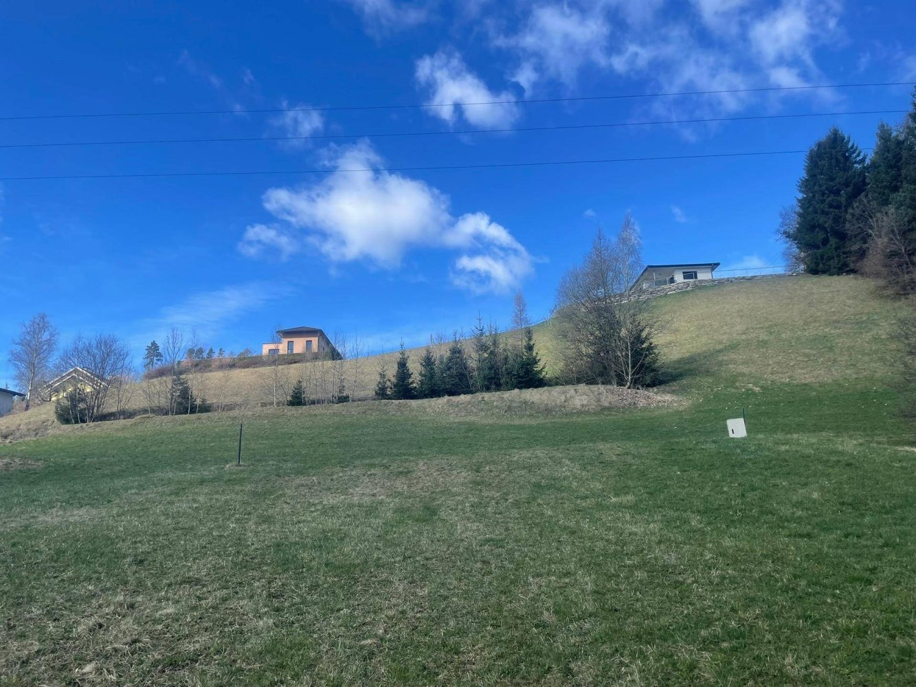 5556m² Land in Molbling, Austria No. 164080
