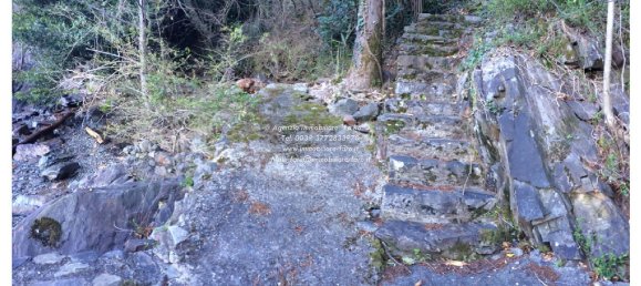 Villa de 6 habitaciónes en Cannobio, Italy No. 160431 9