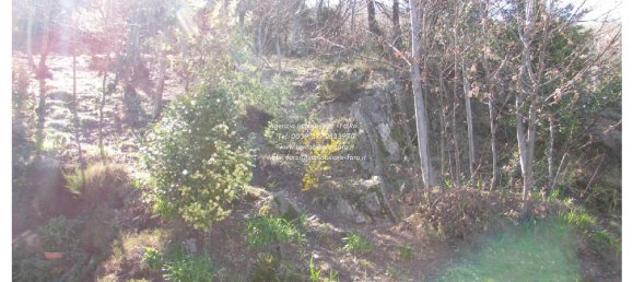 Villa de 6 habitaciónes en Cannobio, Italy No. 160431 17