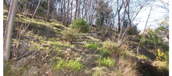Villa de 6 habitaciónes en Cannobio, Italy No. 160431 30