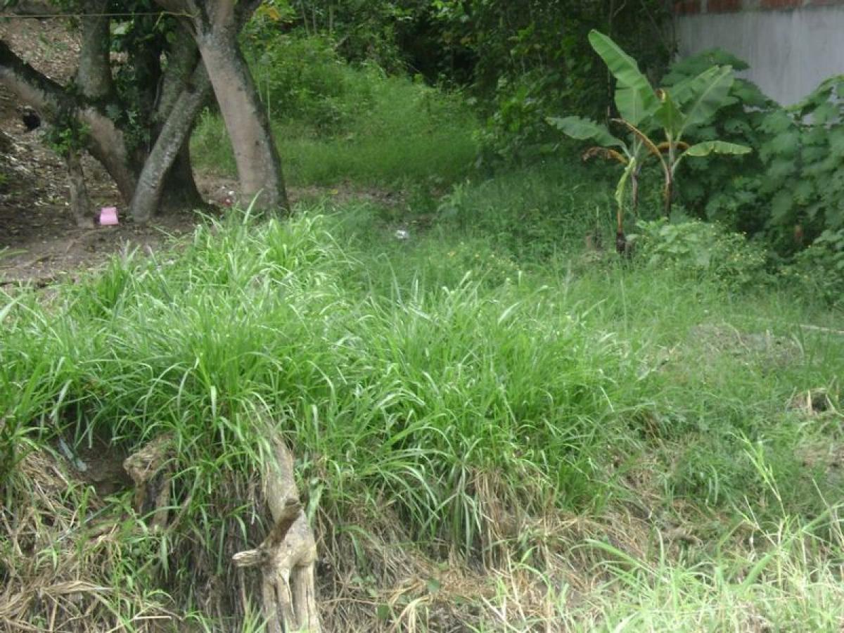 Terreno em Veracruz, Mexico N.º 207170