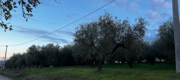 Земельный участок 1300м² в Москуфо, Италия № 172371 16