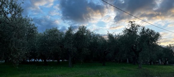 Земельный участок 1300м² в Москуфо, Италия № 172371 23