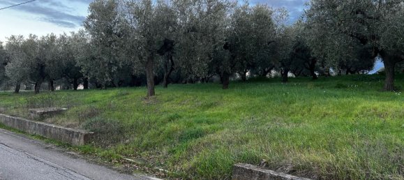 Земельный участок 1300м² в Москуфо, Италия № 172371 18