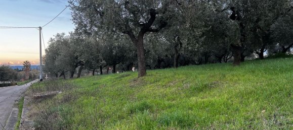 Земельный участок 1300м² в Москуфо, Италия № 172371 14