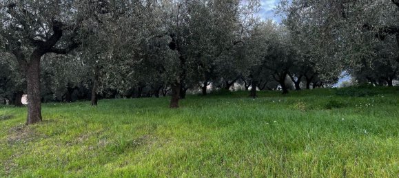 Земельный участок 1300м² в Москуфо, Италия № 172371 6