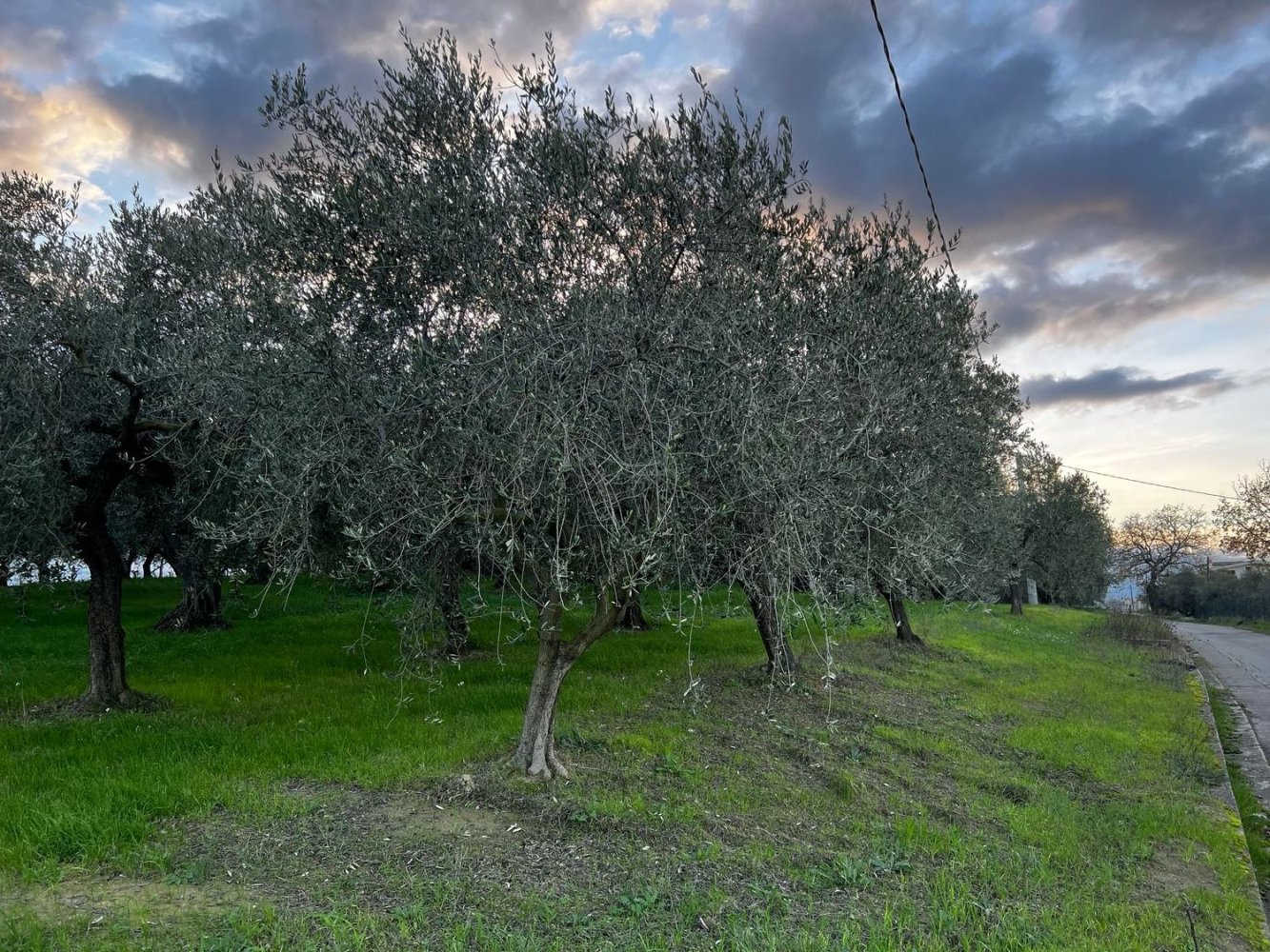 Земельный участок 1300м² в Москуфо, Италия № 172371