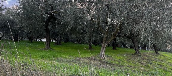 Земельный участок 1300м² в Москуфо, Италия № 172371 13