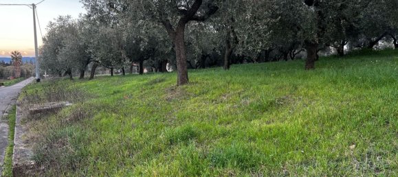 Земельный участок 1300м² в Москуфо, Италия № 172371 7