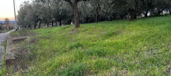 Земельный участок 1300м² в Москуфо, Италия № 172371 5