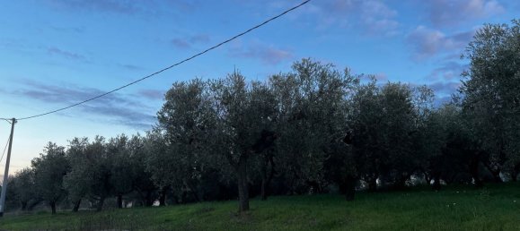 Земельный участок 1300м² в Москуфо, Италия № 172371 20