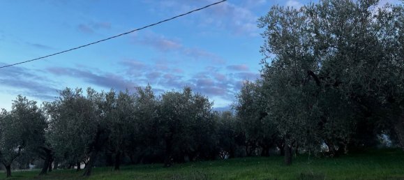 Земельный участок 1300м² в Москуфо, Италия № 172371 21