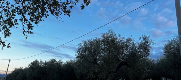 Земельный участок 1300м² в Москуфо, Италия № 172371 15