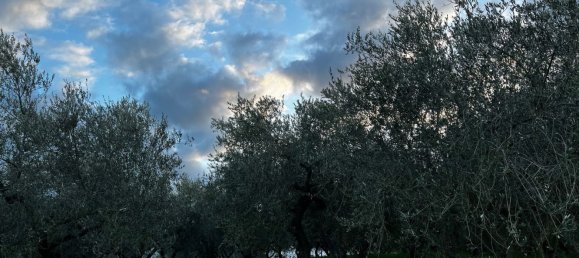 Земельный участок 1300м² в Москуфо, Италия № 172371 12