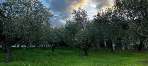 Земельный участок 1300м² в Москуфо, Италия № 172371 8