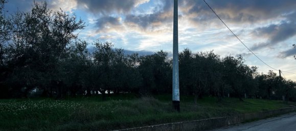 Земельный участок 1300м² в Москуфо, Италия № 172371 4