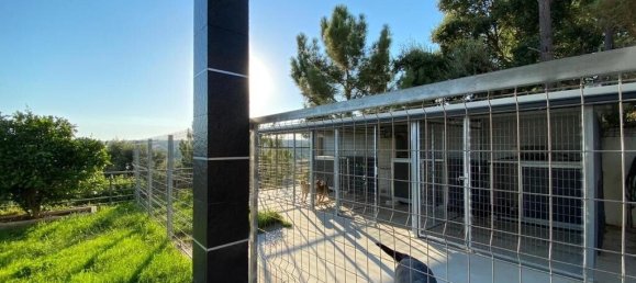 5 bedrooms Villa in Tomar, Portugal No. 120730 12