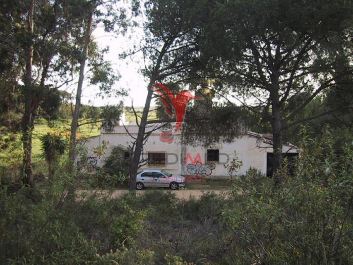693m² Land in Faro, Portugal No. 8905